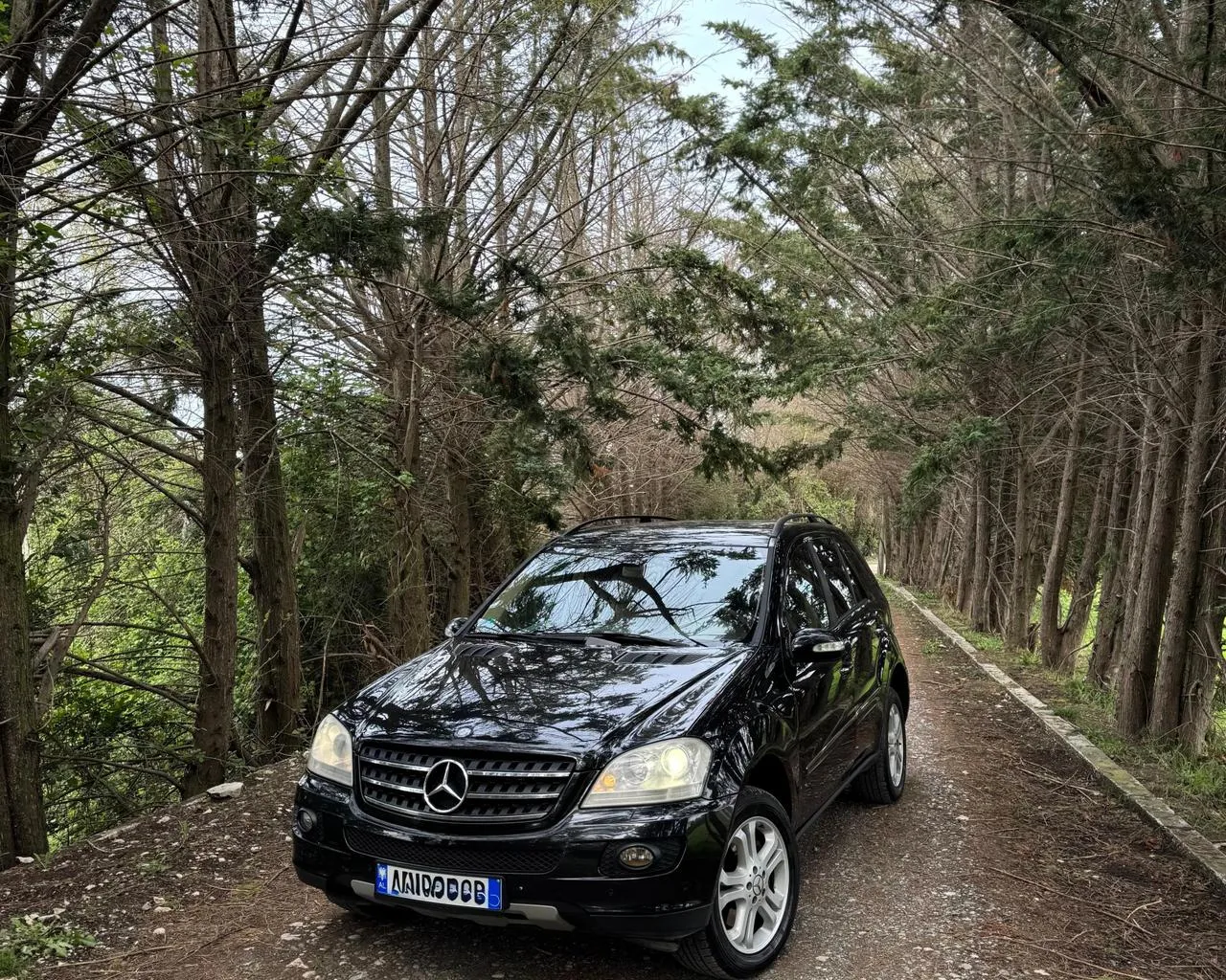 Mercedes Benz ML W164 2006
