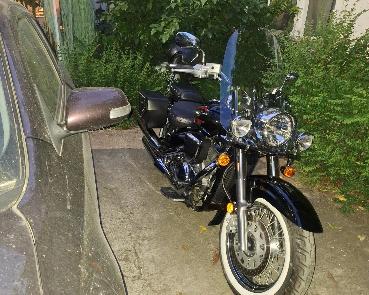 Shitet Suzuki Bulevard 2019