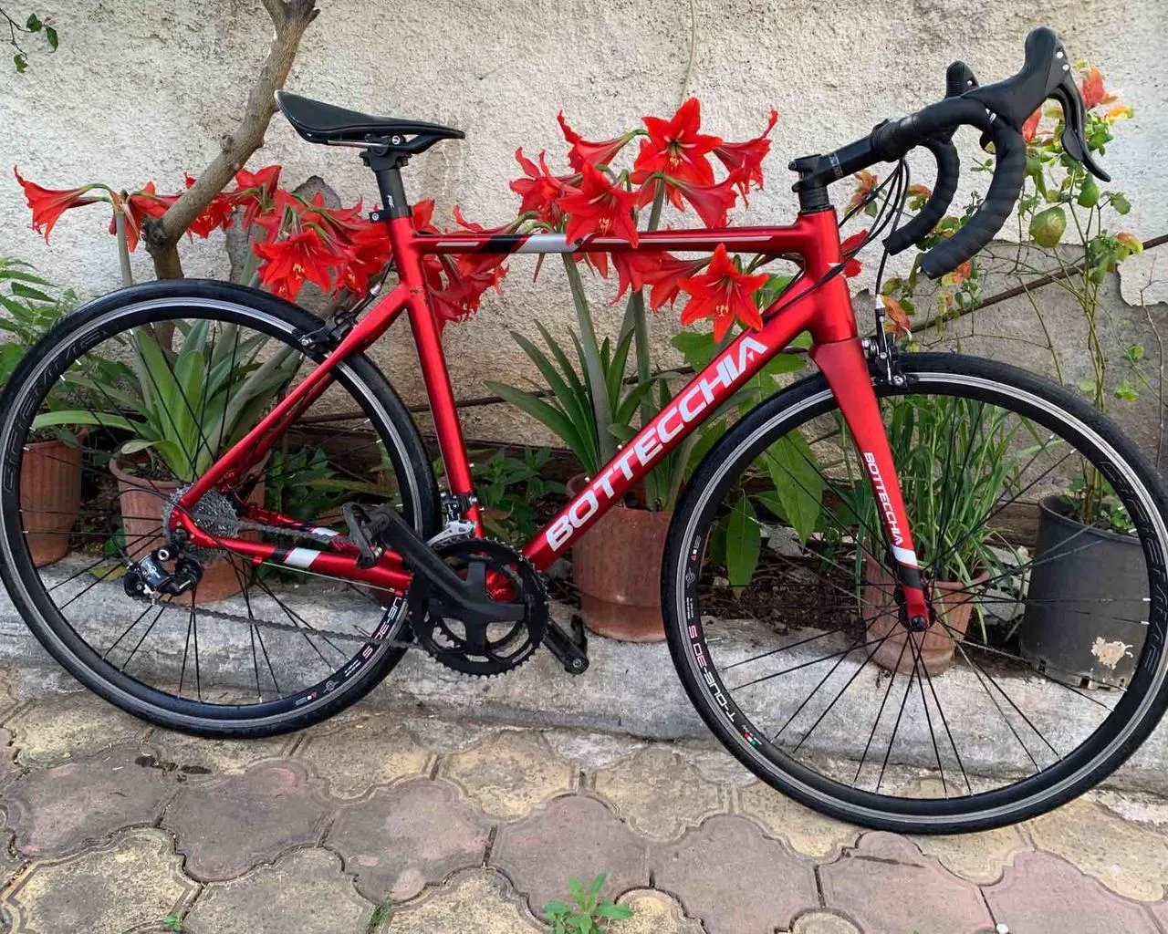 Biçiklete BOTTECCHIA