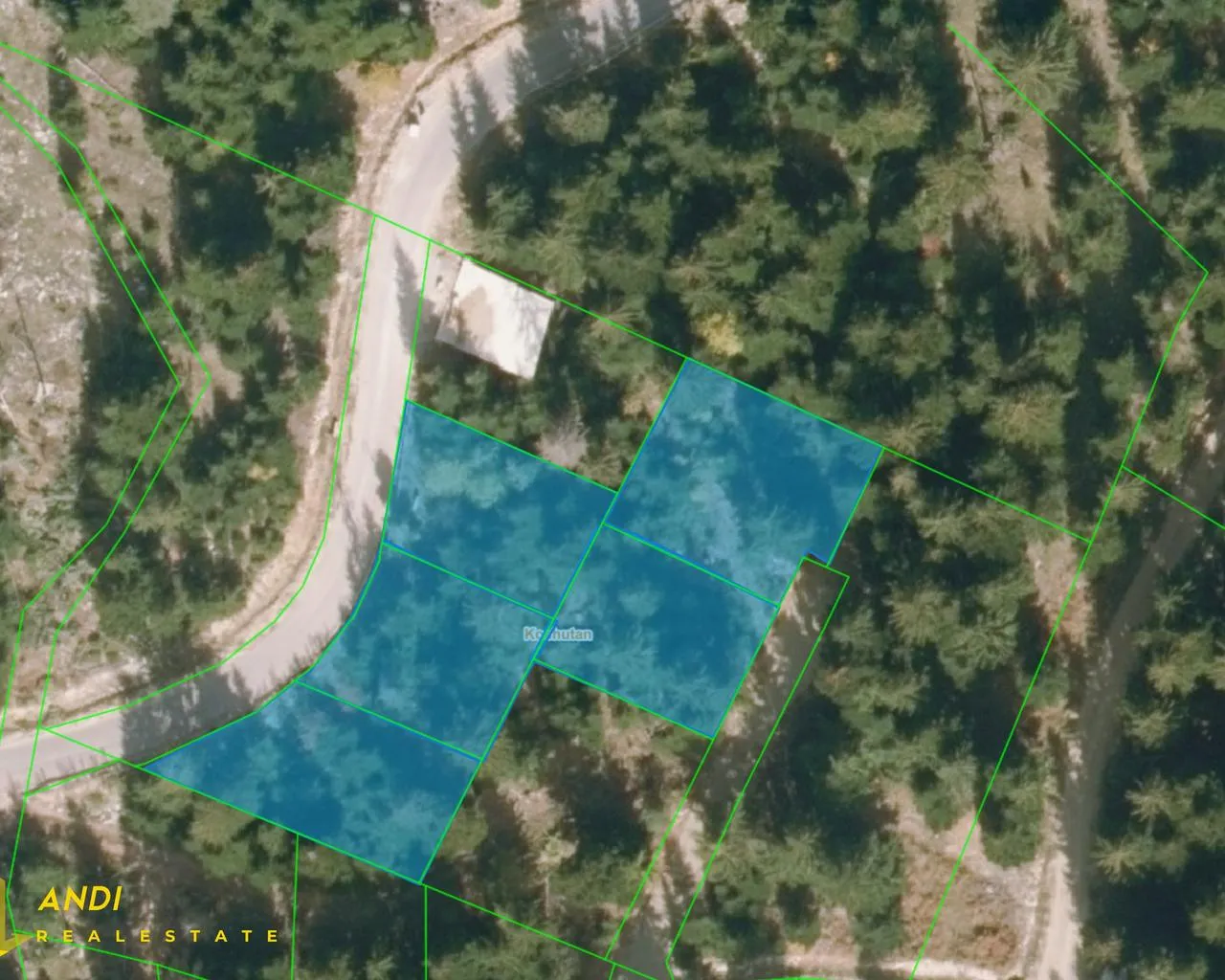 ANDI real estate-2